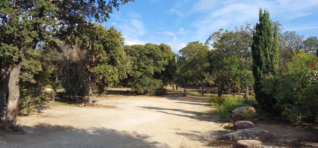 Le Bois De Capra Scorsa Belgodère Exterior foto