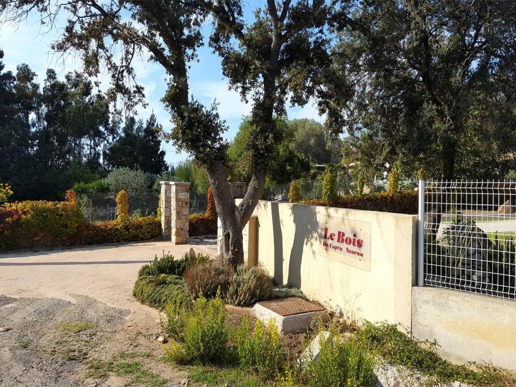 Le Bois De Capra Scorsa Belgodère Exterior foto