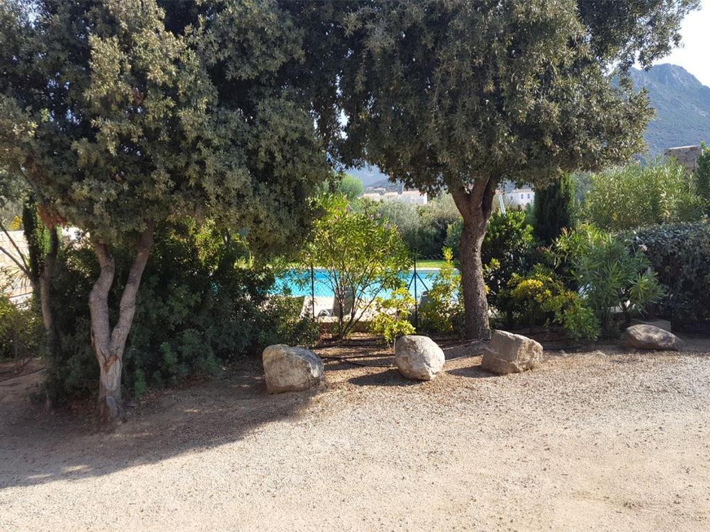 Le Bois De Capra Scorsa Belgodère Exterior foto