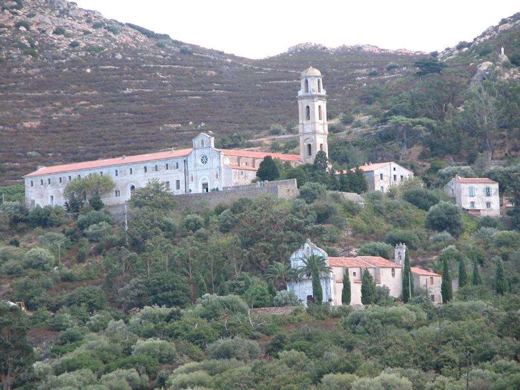 Le Bois De Capra Scorsa Belgodère Exterior foto