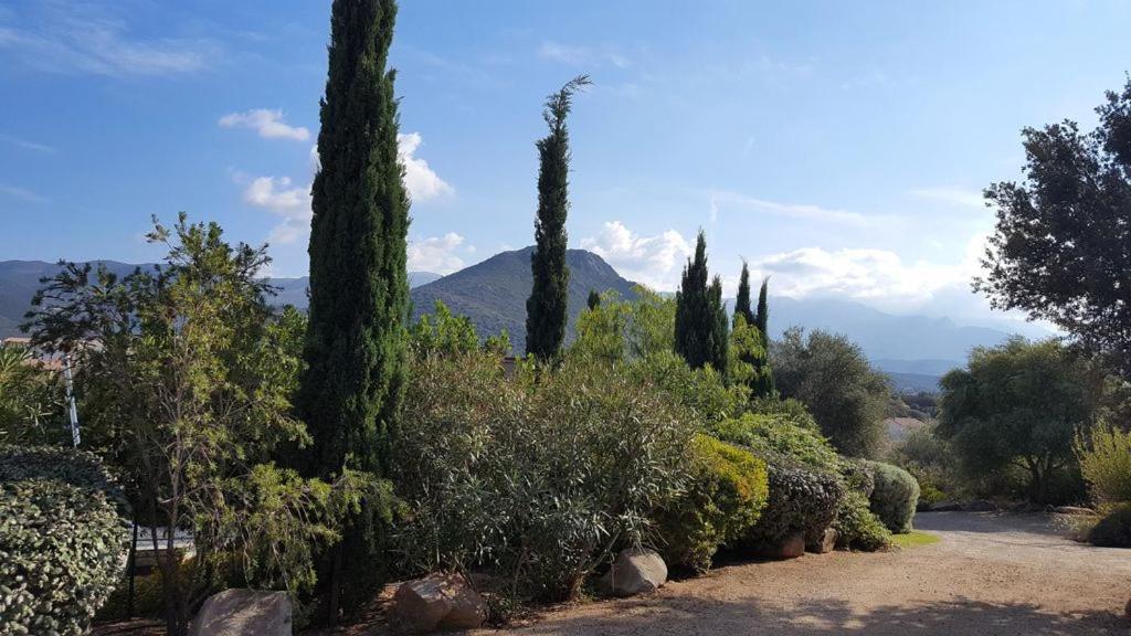 Le Bois De Capra Scorsa Belgodère Exterior foto