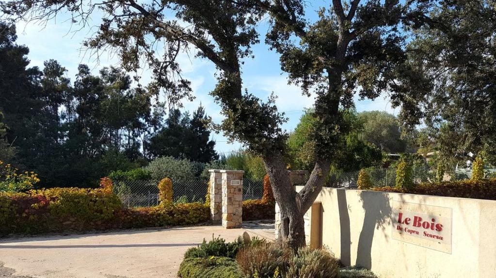 Le Bois De Capra Scorsa Belgodère Exterior foto