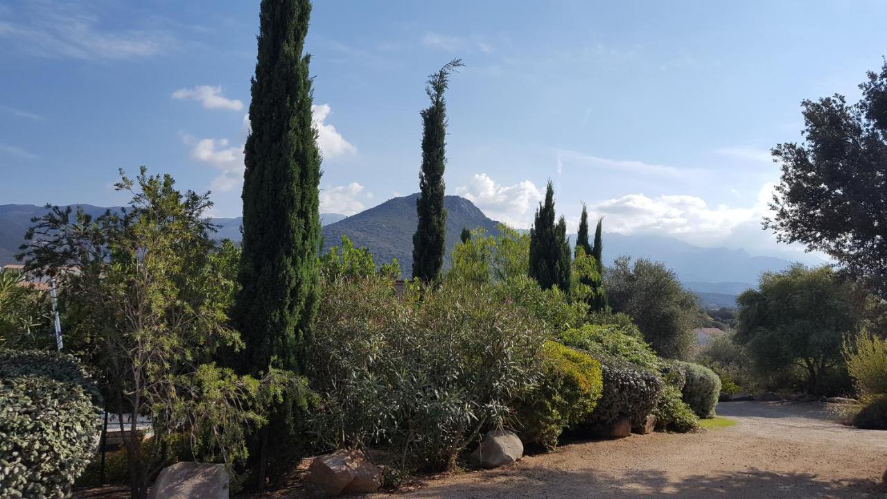 Le Bois De Capra Scorsa Belgodère Exterior foto