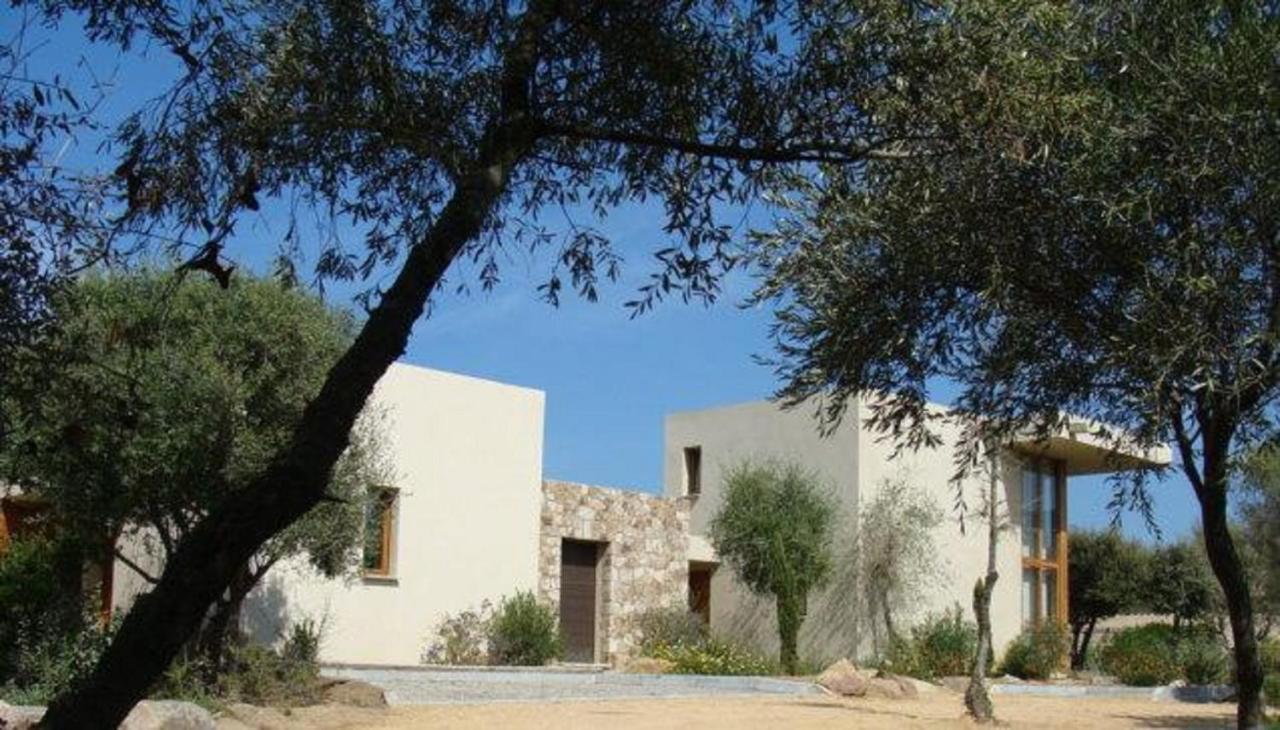 Le Bois De Capra Scorsa Belgodère Exterior foto